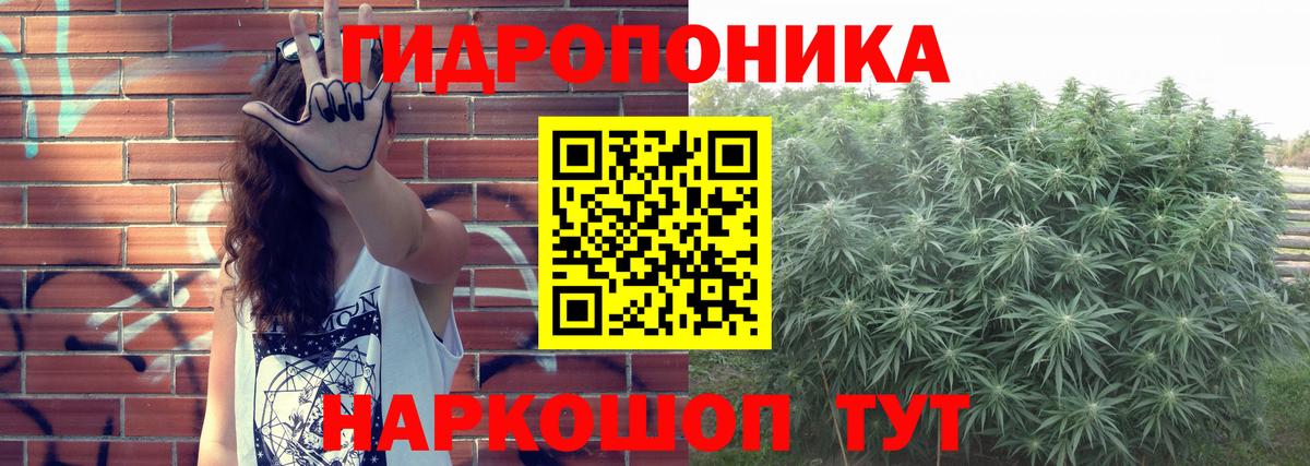Канабис конопля  Бошки марихуана конопля  Скопин  Вход с VPN 